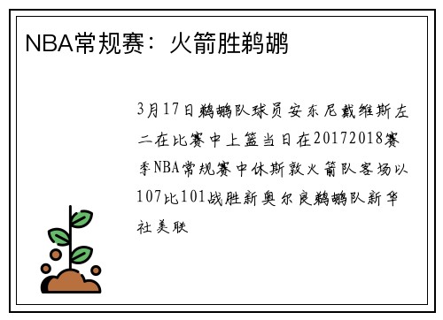 NBA常规赛：火箭胜鹈鹕
