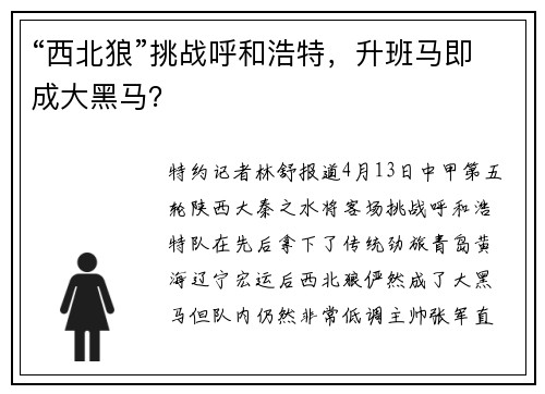 “西北狼”挑战呼和浩特，升班马即成大黑马？