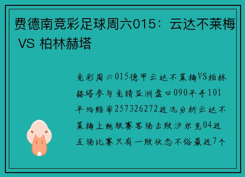 费德南竞彩足球周六015：云达不莱梅 VS 柏林赫塔