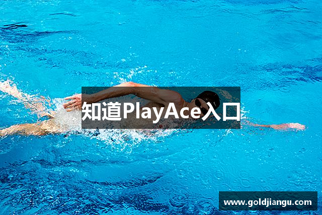 知道PlayAce入口